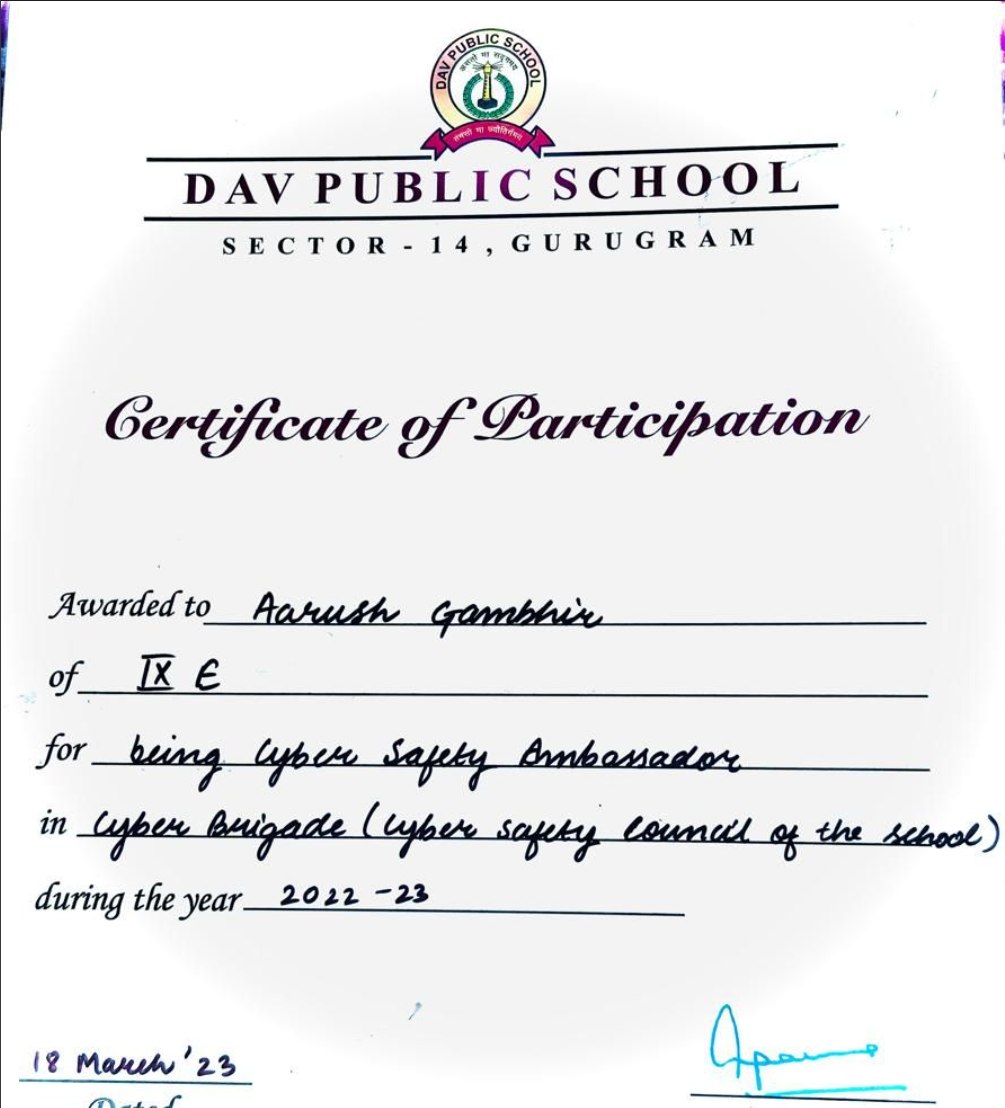 Cyber Safety Ambassador certificate