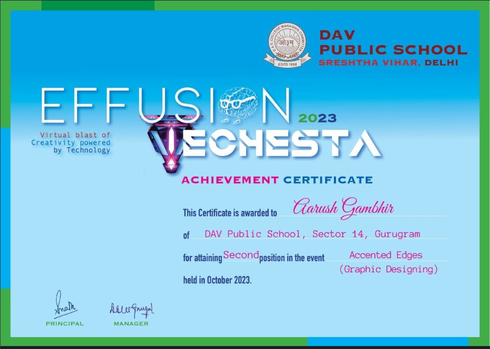 Effusion Echesta second position achievement certificate