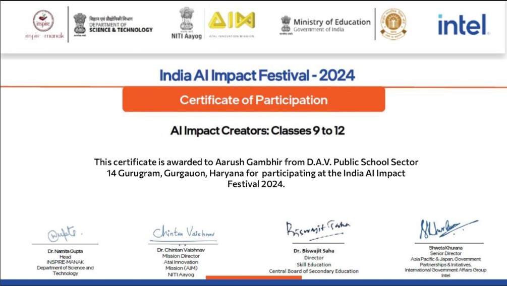 India AI Impact Festival 2024 certificate of participation